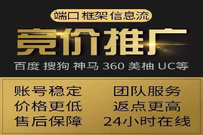 谷歌SEM案例研究：数据分析与效果评估